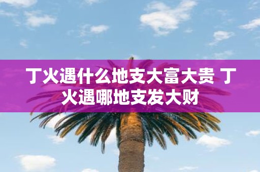 丁火遇什么地支大富大贵 丁火遇哪地支发大财
