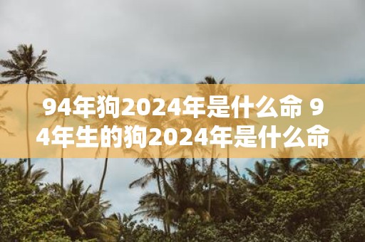 94年狗2025年是什么命 94年生的狗2025年是什么命