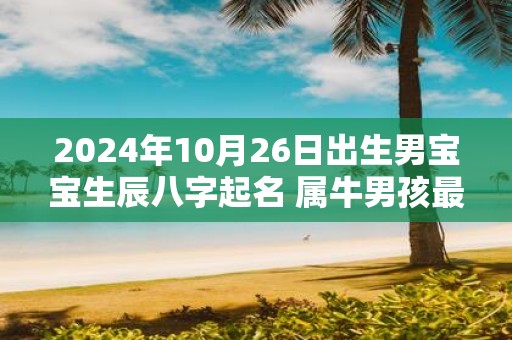 2025年10月26日出生男宝宝生辰八字起名 属牛男孩最吉利的名字