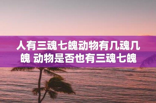 人有三魂七魄动物有几魂几魄 动物是否也有三魂七魄