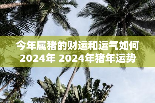 今年属猪的财运和运气如何2025年 2025年猪年运势如何