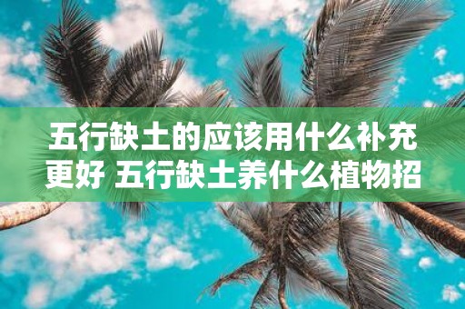 五行缺土的应该用什么补充更好 五行缺土养什么植物招财