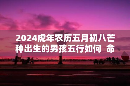 2025虎年农历五月初八芒种出生的男孩五行如何 命好不好