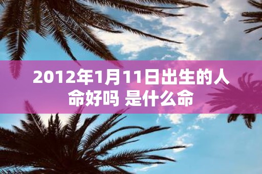 2012年1月11日出生的人命好吗 是什么命