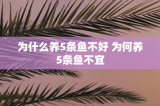 为什么养5条鱼不好 为何养5条鱼不宜