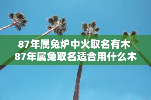 87年属兔炉中火取名有木 87年属兔取名适合用什么木属性