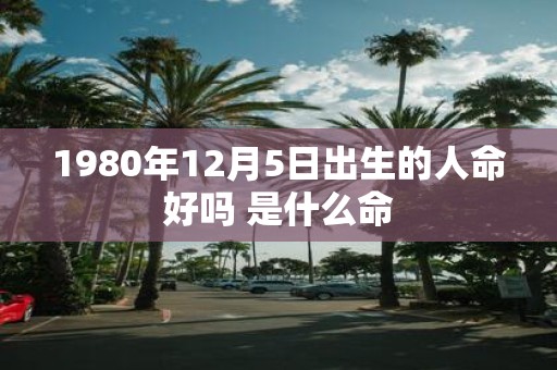 1980年12月5日出生的人命好吗 是什么命