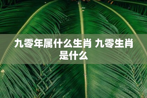 九零年属什么生肖 九零生肖是什么