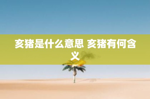 亥猪是什么意思 亥猪有何含义