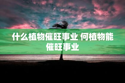 什么植物催旺事业 何植物能催旺事业