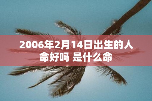 2006年2月14日出生的人命好吗 是什么命