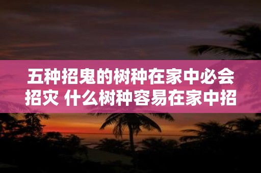 五种招鬼的树种在家中必会招灾 什么树种容易在家中招灾 五种招鬼的树种在家中必会招灾 什么树种容易在家中招灾