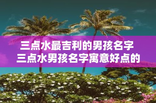 三点水最吉利的男孩名字 三点水男孩名字寓意好点的字有哪些