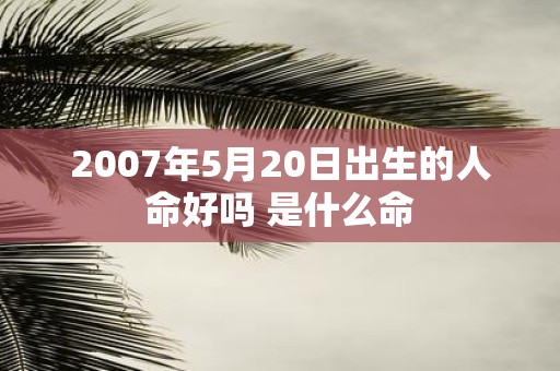 2007年5月20日出生的人命好吗 是什么命