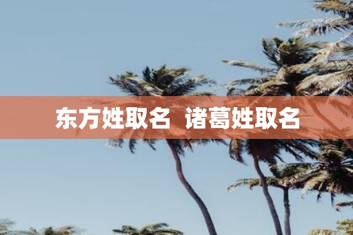 东方姓取名 诸葛姓取名