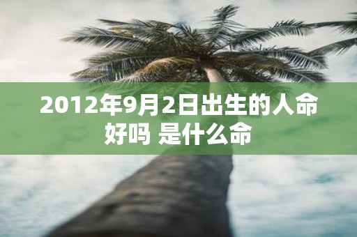 2012年9月2日出生的人命好吗 是什么命