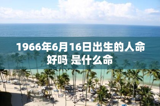 1966年6月16日出生的人命好吗 是什么命