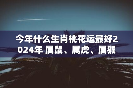 今年什么生肖桃花运最好2025年 属鼠、属虎、属猴