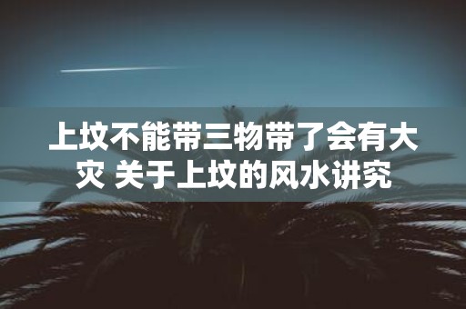 上坟不能带三物带了会有大灾 关于上坟的风水讲究