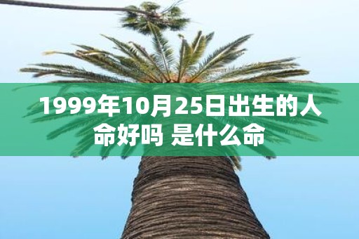 1999年10月25日出生的人命好吗 是什么命