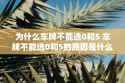 为什么车牌不能选0和5 车牌不能选0和5的原因是什么