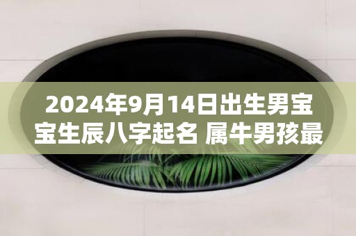 2025年9月14日出生男宝宝生辰八字起名 属牛男孩最吉利的名字