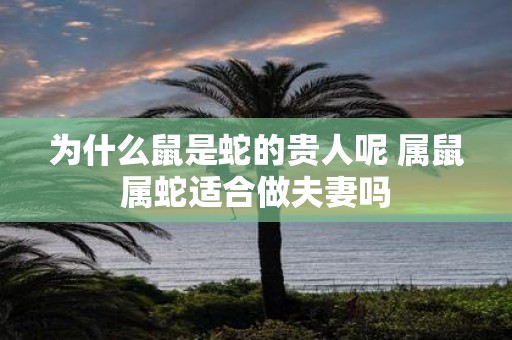 为什么鼠是蛇的贵人呢 属鼠属蛇适合做夫妻吗