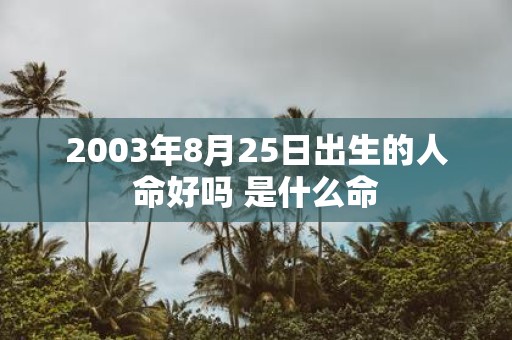 2003年8月25日出生的人命好吗 是什么命