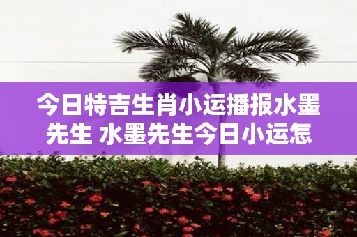 今日特吉生肖小运播报水墨先生 水墨先生今日小运怎么样