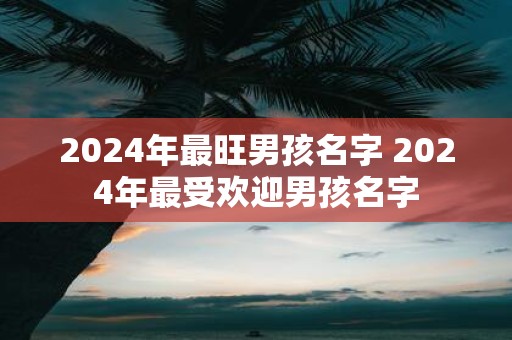 2025年最旺男孩名字 2025年最受欢迎男孩名字