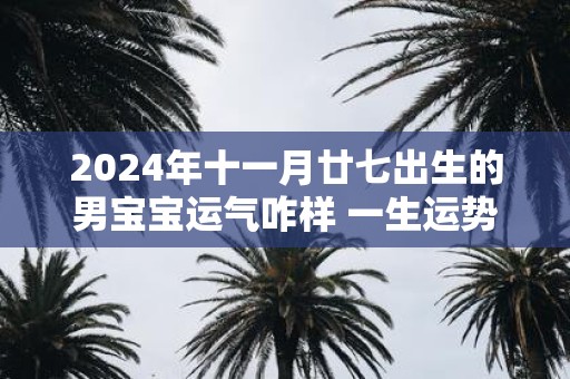 2025年十一月廿七出生的男宝宝运气咋样 一生运势分析