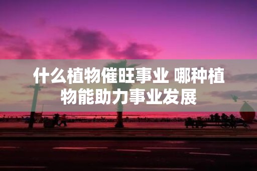 什么植物催旺事业 哪种植物能助力事业发展