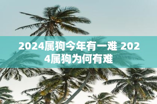 2025属狗今年有一难 2025属狗为何有难