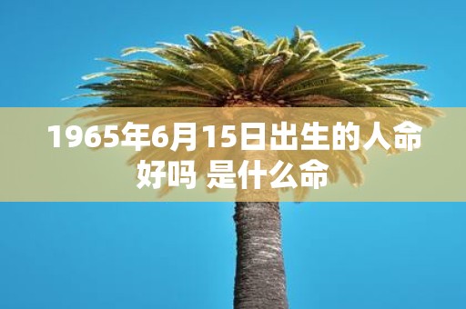 1965年6月15日出生的人命好吗 是什么命