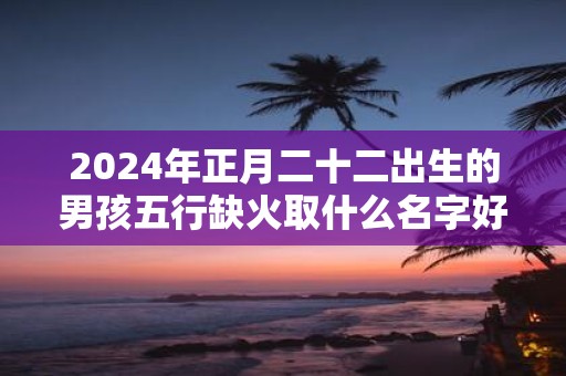 2025年正月二十二出生的男孩五行缺火取什么名字好