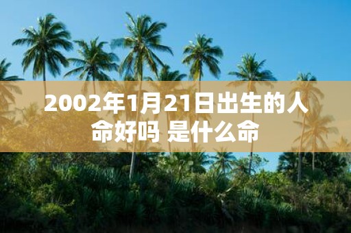 2002年1月21日出生的人命好吗 是什么命