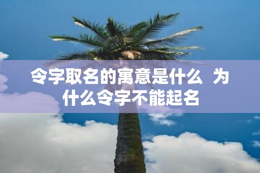 令字取名的寓意是什么 为什么令字不能起名