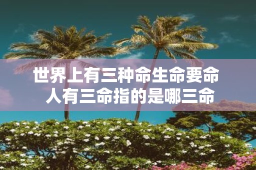 世界上有三种命生命要命 人有三命指的是哪三命