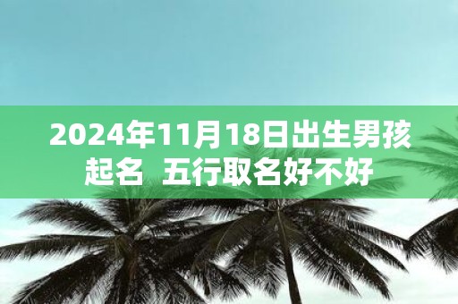 2025年11月18日出生男孩起名 五行取名好不好