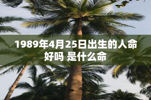 1989年4月25日出生的人命好吗 是什么命