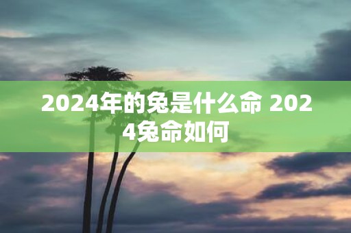 2025年的兔是什么命 2025兔命如何