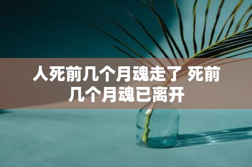 人死前几个月魂走了 死前几个月魂已离开