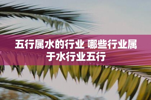 五行属水的行业 哪些行业属于水行业五行