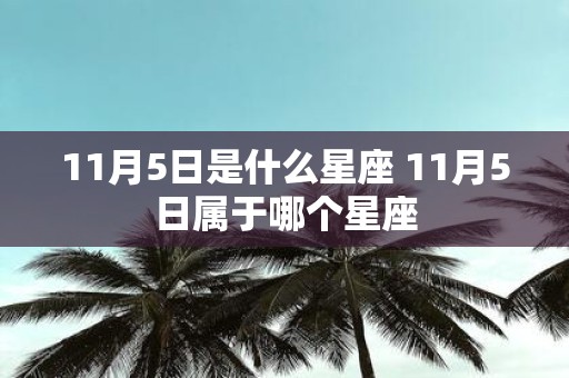 11月5日是什么星座 11月5日属于哪个星座