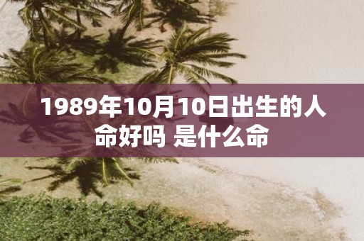 1989年10月10日出生的人命好吗 是什么命