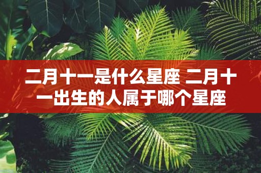 二月十一是什么星座 二月十一出生的人属于哪个星座