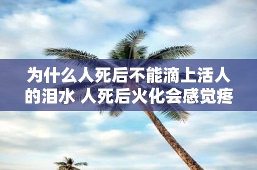 为什么人死后不能滴上活人的泪水 人死后火化会感觉疼吗