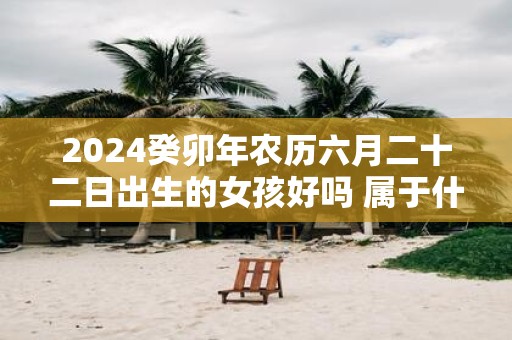 2025癸卯年农历六月二十二日出生的女孩好吗 属于什么命格