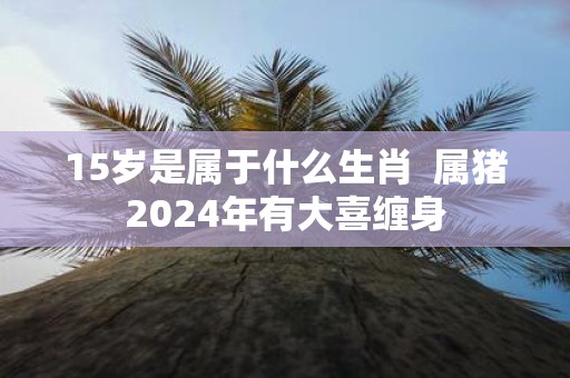 15岁是属于什么生肖 属猪2025年有大喜缠身