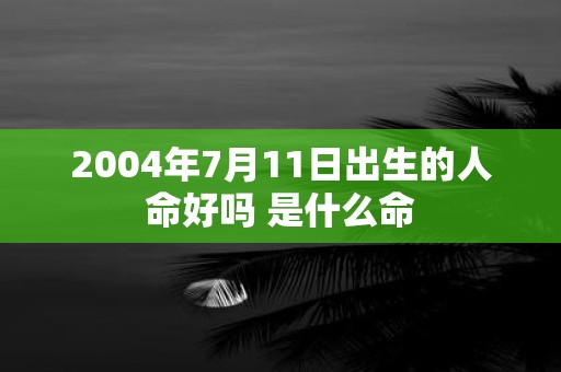 2004年7月11日出生的人命好吗 是什么命